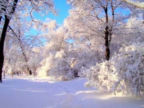 Image that is used for this game