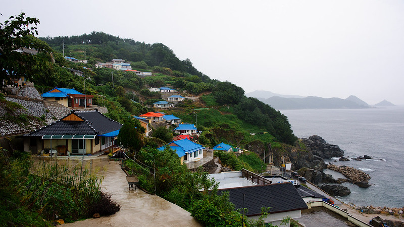 Image that is used for this game