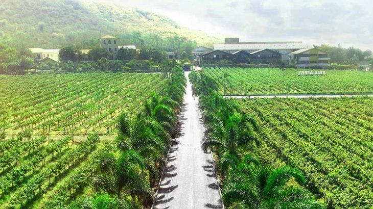 Image that is used for this game